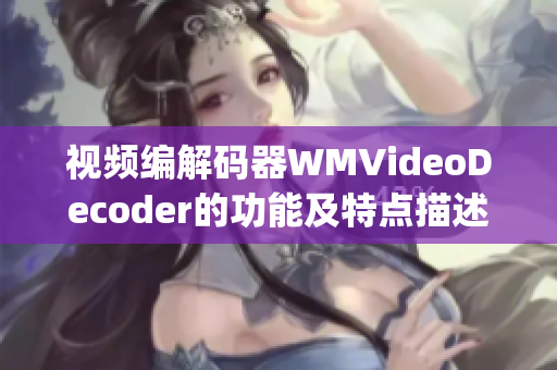 视频编解码器WMVideoDecoder的功能及特点描述(1)