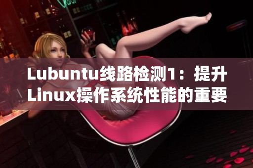 Lubuntu线路检测1：提升Linux操作系统性能的重要步骤