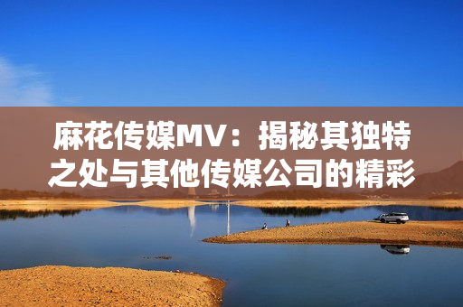 麻花传媒MV：揭秘其独特之处与其他传媒公司的精彩对比