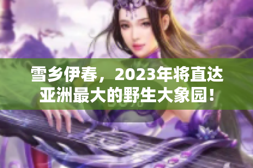 雪乡伊春，2023年将直达亚洲最大的野生大象园！