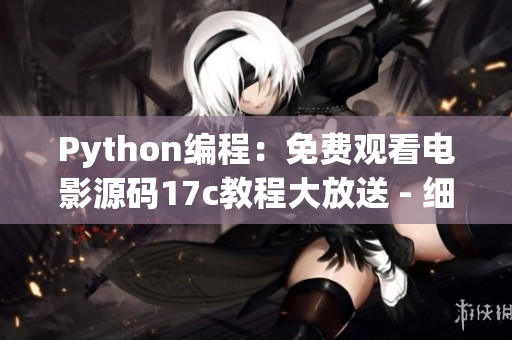 Python编程：免费观看电影源码17c教程大放送 - 细致解析难点问题(1)