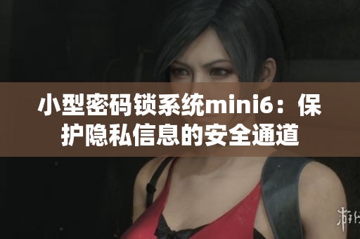 小型密码锁系统mini6：保护隐私信息的安全通道