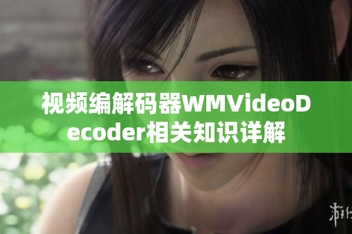 视频编解码器WMVideoDecoder相关知识详解