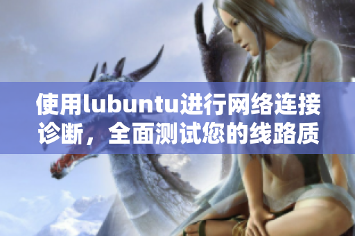 使用lubuntu进行网络连接诊断，全面测试您的线路质量