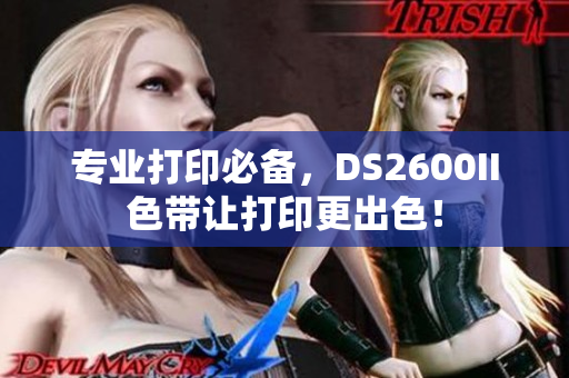 专业打印必备，DS2600II色带让打印更出色！