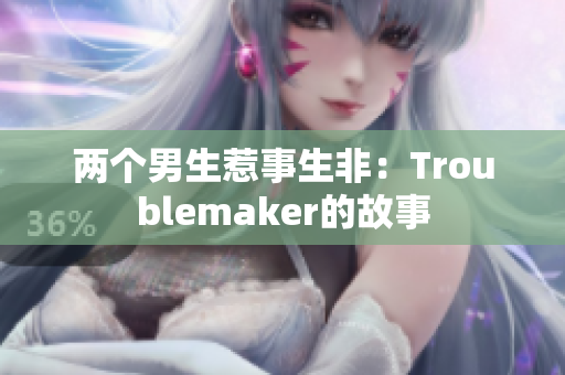 两个男生惹事生非：Troublemaker的故事