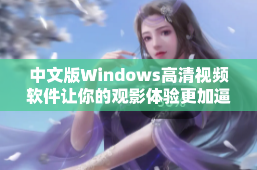 中文版Windows高清视频软件让你的观影体验更加逼真