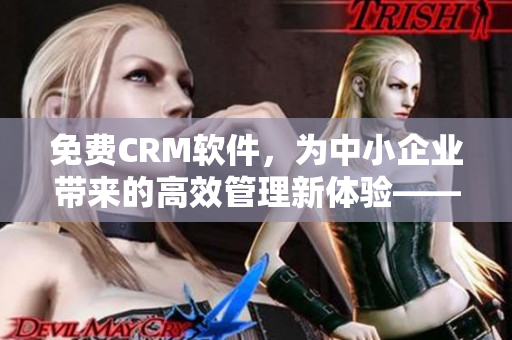 免费CRM软件，为中小企业带来的高效管理新体验——探究其特色功能及优势