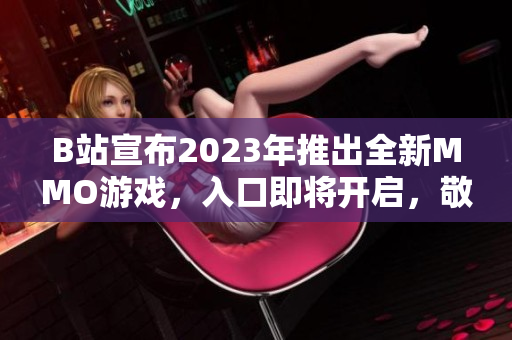 B站宣布2023年推出全新MMO游戏，入口即将开启，敬请期待！