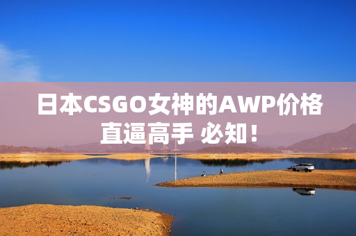 日本CSGO女神的AWP价格直逼高手 必知！