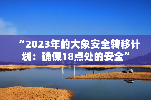 “2023年的大象安全转移计划：确保18点处的安全”