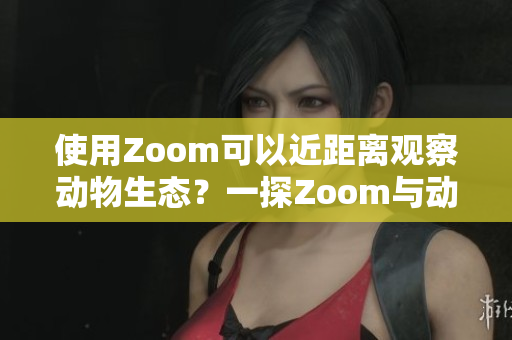 使用Zoom可以近距离观察动物生态？一探Zoom与动物的奇妙相遇