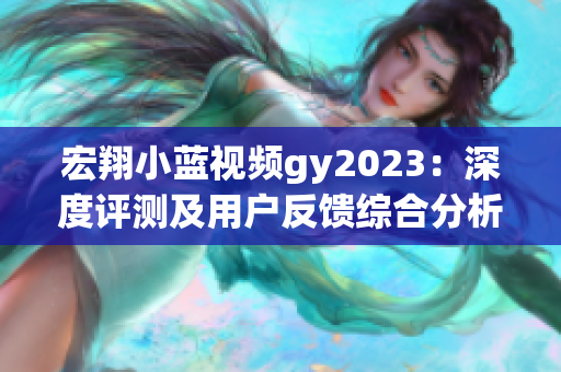 宏翔小蓝视频gy2023：深度评测及用户反馈综合分析