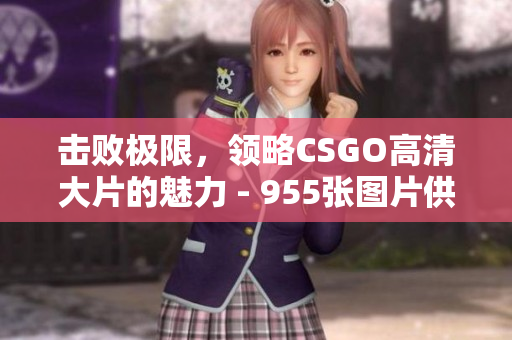 击败极限，领略CSGO高清大片的魅力 - 955张图片供你欣赏