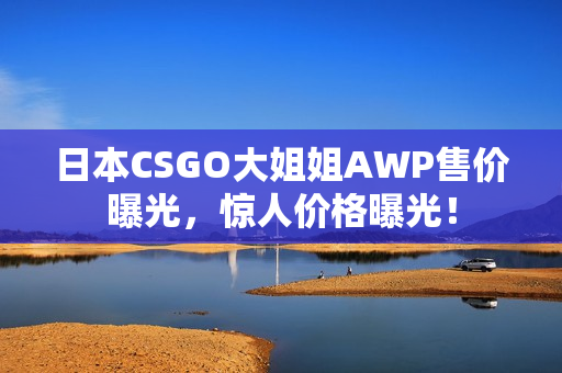 日本CSGO大姐姐AWP售价曝光，惊人价格曝光！