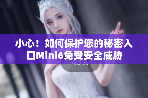 小心！如何保护您的秘密入口Mini6免受安全威胁