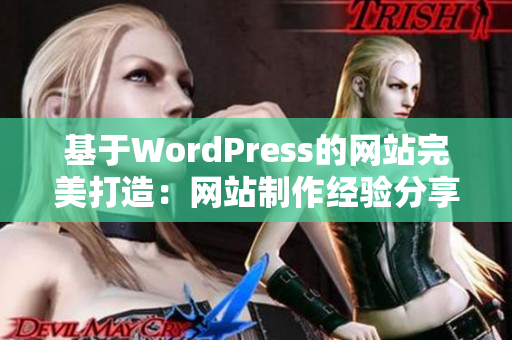 基于WordPress的网站完美打造：网站制作经验分享