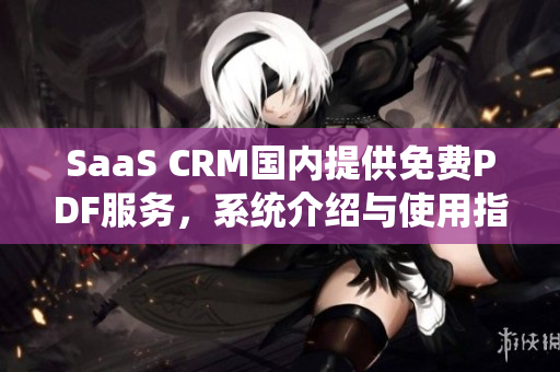 SaaS CRM国内提供免费PDF服务，系统介绍与使用指南