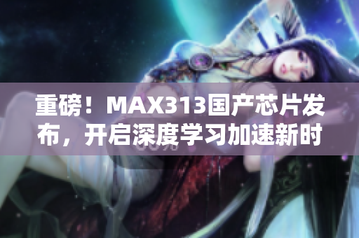 重磅！MAX313国产芯片发布，开启深度学习加速新时代！