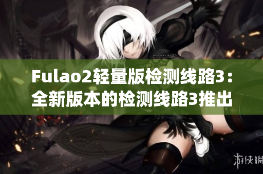 Fulao2轻量版检测线路3：全新版本的检测线路3推出，性能更强大(1)