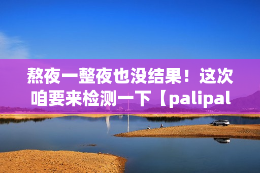 熬夜一整夜也没结果！这次咱要来检测一下【palipali2】(1)