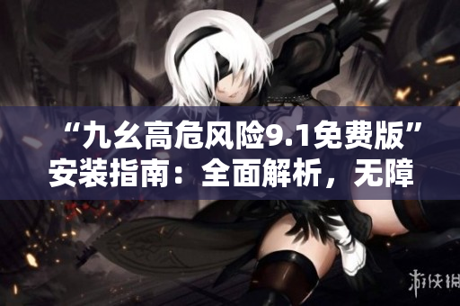 “九幺高危风险9.1免费版”安装指南：全面解析，无障碍安装攻略