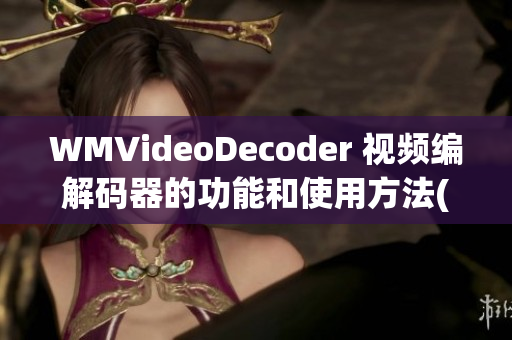 WMVideoDecoder 视频编解码器的功能和使用方法(1)