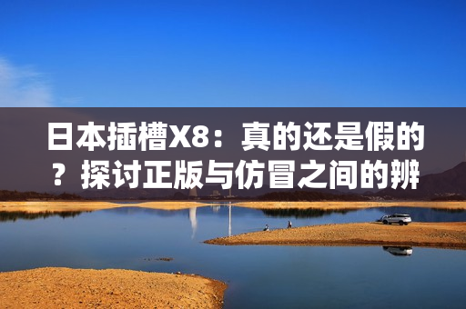 日本插槽X8：真的还是假的？探讨正版与仿冒之间的辨别