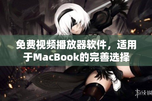 免费视频播放器软件，适用于MacBook的完善选择