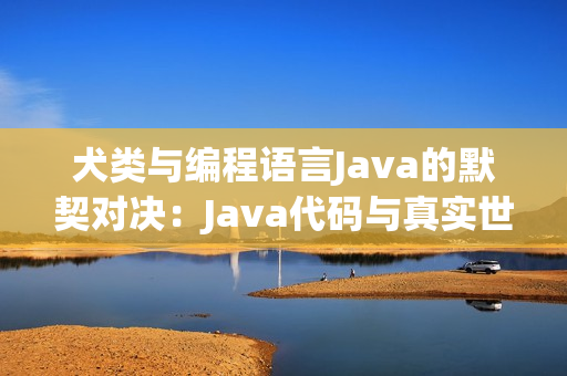 犬类与编程语言Java的默契对决：Java代码与真实世界的交融