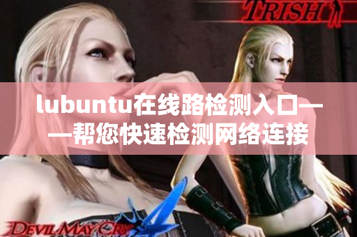 lubuntu在线路检测入口——帮您快速检测网络连接