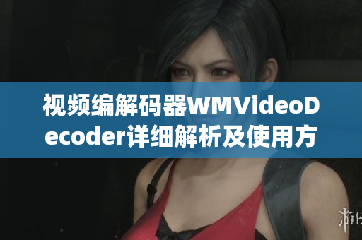 视频编解码器WMVideoDecoder详细解析及使用方法(1)