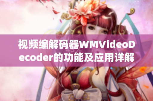 视频编解码器WMVideoDecoder的功能及应用详解(1)