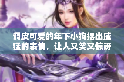 调皮可爱的年下小狗摆出威猛的表情，让人又笑又惊讶