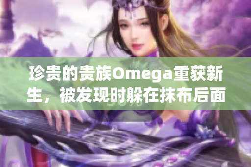 珍贵的贵族Omega重获新生，被发现时躲在抹布后面