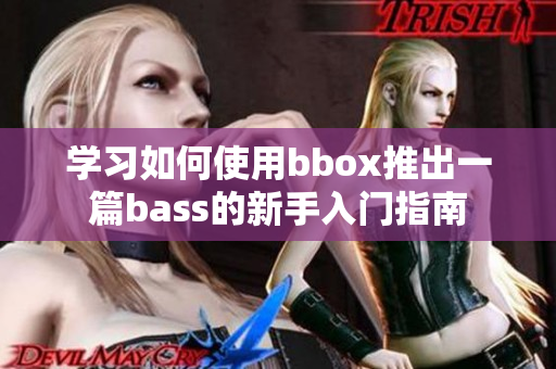 学习如何使用bbox推出一篇bass的新手入门指南