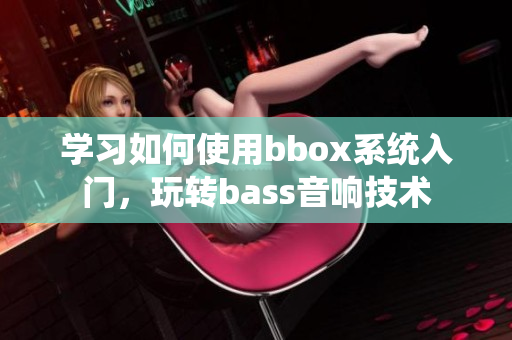 学习如何使用bbox系统入门，玩转bass音响技术