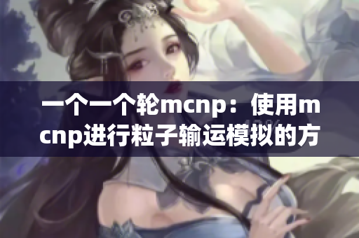 一个一个轮mcnp：使用mcnp进行粒子输运模拟的方法