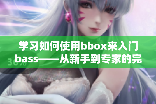 学习如何使用bbox来入门bass——从新手到专家的完全指南