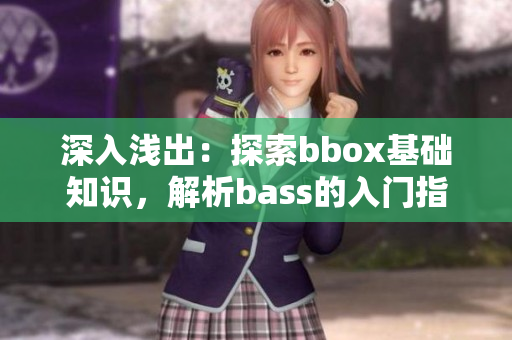 深入浅出：探索bbox基础知识，解析bass的入门指南