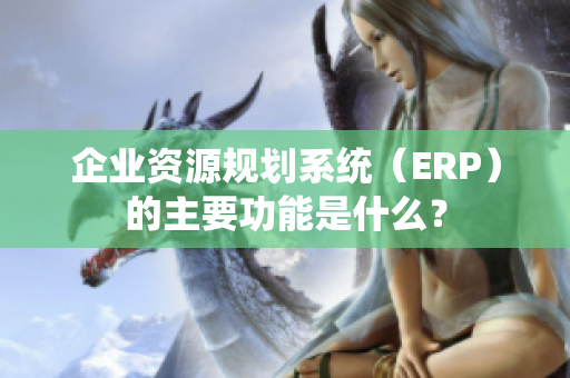 企业资源规划系统（ERP）的主要功能是什么？