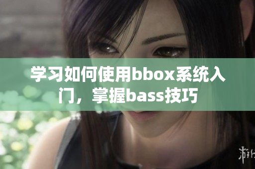 学习如何使用bbox系统入门，掌握bass技巧