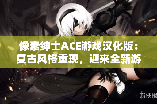 像素绅士ACE游戏汉化版：复古风格重现，迎来全新游戏体验！