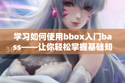 学习如何使用bbox入门bass——让你轻松掌握基础知识