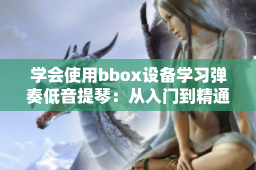 学会使用bbox设备学习弹奏低音提琴：从入门到精通