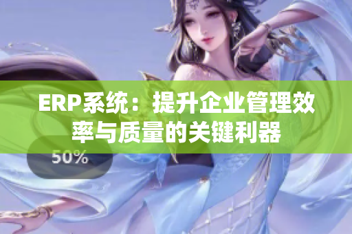 ERP系统：提升企业管理效率与质量的关键利器