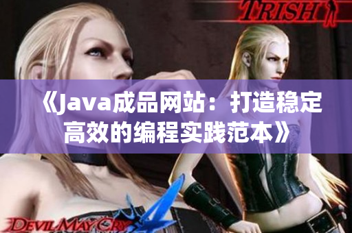 《Java成品网站：打造稳定高效的编程实践范本》