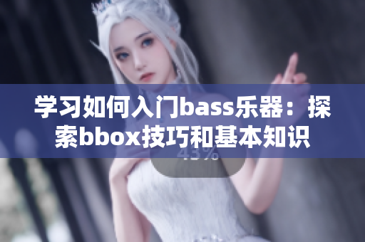 学习如何入门bass乐器：探索bbox技巧和基本知识